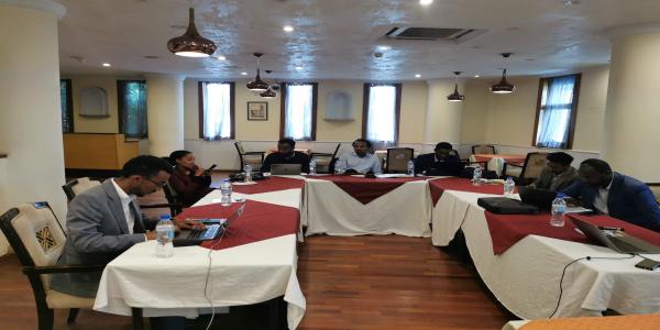 Ethiopian tech professionals in a workshop session